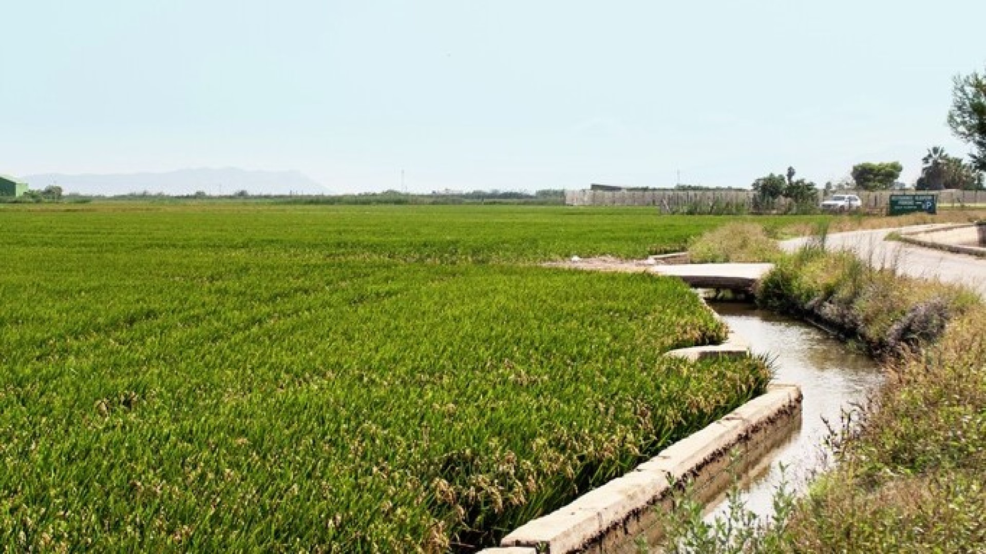 Subvenciones destinadas al mantenimiento del paisaje de la huerta de València en el municipio